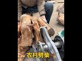 Firewood Splitter for Winter Stockpiling