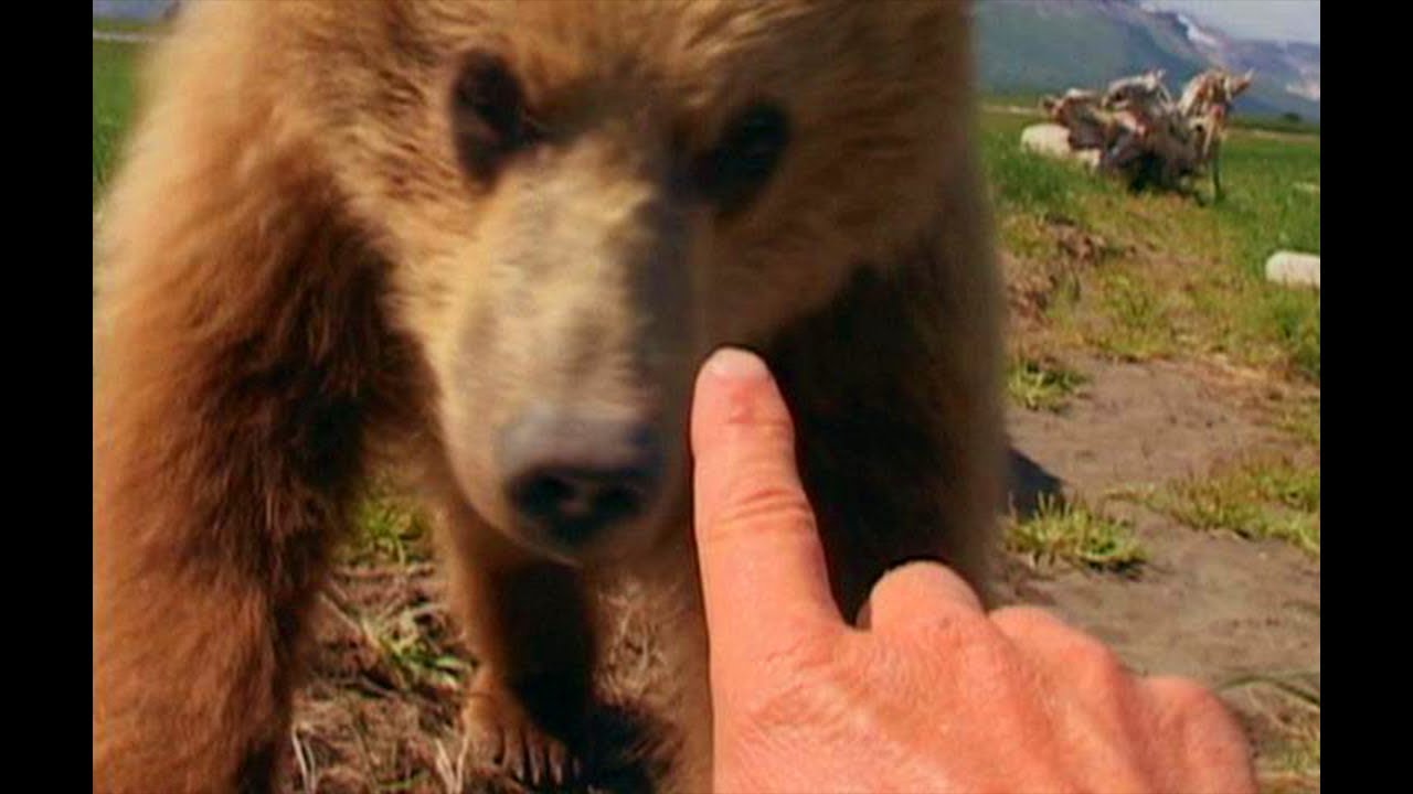 The world's most beloved 94-year-old naturalist says his Instagram ...