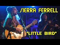 ✿ ♥ SIERRA FERRELL ♥ ✿  &quot;Little Bird&quot; Live 10/30/21 The Hi-Fi, Indianapolis, IN