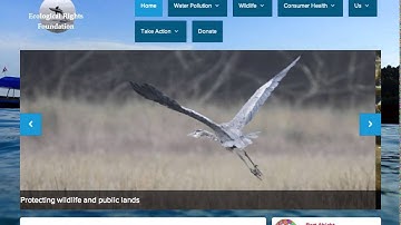 Website Rebirth and Community Expansion