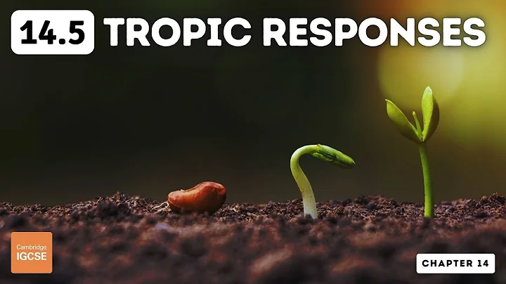 IGCSE Biology - Tropic responses (14.5)