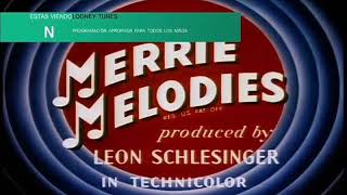 Piolin  El Ave Y La Bestia birdy And The Beast