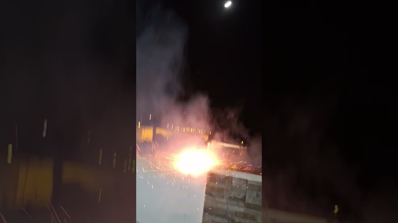 YR+VIRALDOGHOG+PIROTECNIA INFANTIL/ADULTA LADY BUG