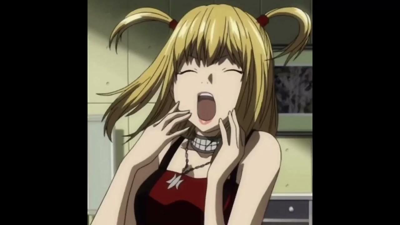 Кот лёлик фото. Котенок лелик. Миса и лелик порода. Миса и лелик порода. Миса и лелик порода.