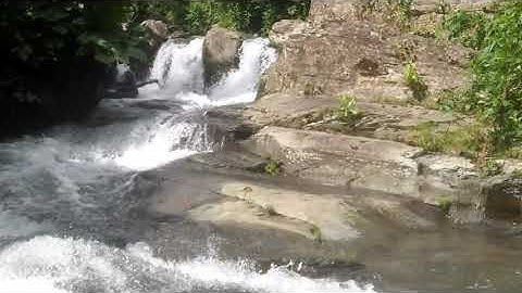 Khám phá thác nước mát bí ẩn tuyệt đẹp trong rừng sâu