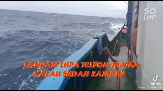 story wa pelaut