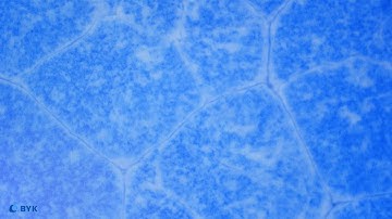 Bénard Cells | Basics | BYK Additives