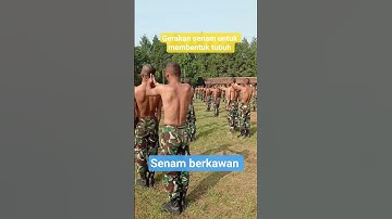 Thumbnail of Prajurit harus tahan banting #tni #lagu#cover #tentara #army #siswa#casis #militer #tnidihatirakyat