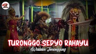 Download Lagu Kuda Lumping Turonggo Sedyo Rahayu (TSR) Walitelon Temanggung MP3