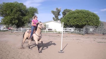 All Steady 6 gimbal filming with Michelle Skender Murphy Performance Horse Training