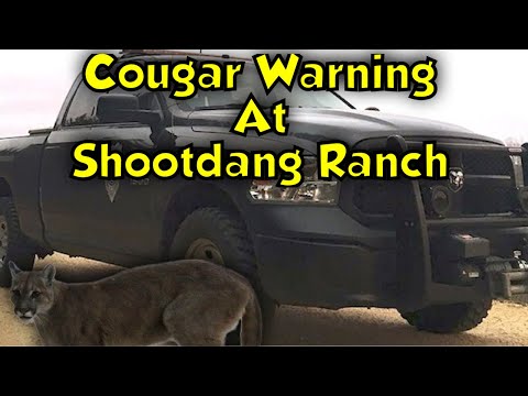 Cougar Warning @shootdang ranch #offgrid #comedy #customer service
