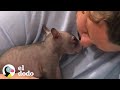 Este pequeño wombat se convierte en el adolecente más travieso | El Dodo