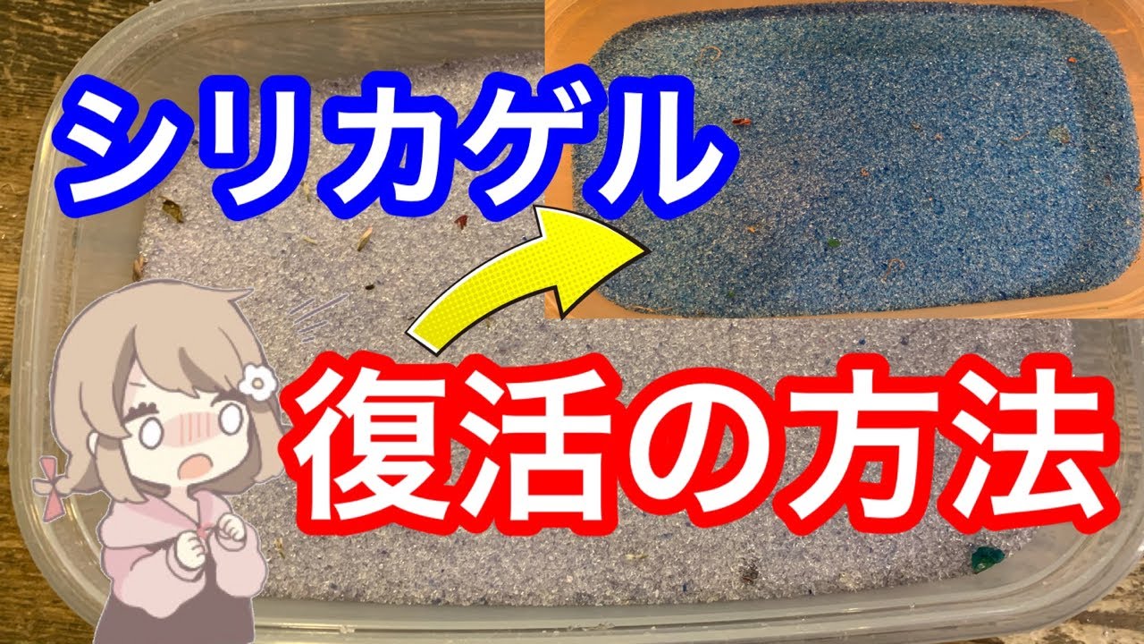 ドライフラワーに欠かせないシリカゲルもう一度使えるようにする方法 Youtube ドライフラワーに欠かせないシリカゲルもう一度使えるようにする方法 Youtube
