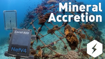 Restoring Coral Reefs: An In-depth Exploration of Mineral Accretion Technology