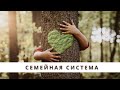 СЕМЕЙНАЯ СИСТЕМА