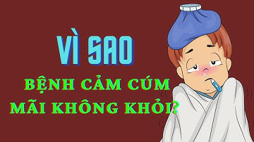 Vì sao bệnh cảm cúm dai dẳng mãi không khỏi? Top 8 nguyên nhân khiến bệnh cảm cúm lâu khỏi.