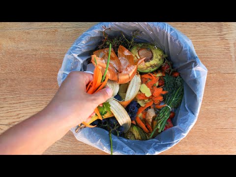 Food Waste and the Climate Connection - YouTube