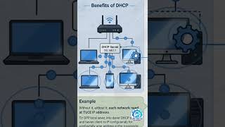 DHCP Basics : Essential for modern networking