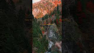 Güzmü Geldi,Rengin Soluk... Ne Tez Yaprak Döktün Ömrüm