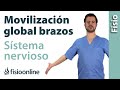 Movilizacion global de sistema nervioso de los brazos.