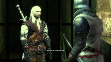 The Witcher Part 51 (Neutral path, Shani)