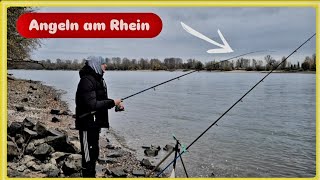 ANGELN am RHEIN 2025. Auf ZANDER mit KÖDERFISCH 🎣🥶