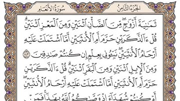 سورة الأنعام الصفحة 147 من القرآن للشيخ ياسر