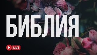 Вечный свет Святого Писания 🔴 BibleVision LIVE