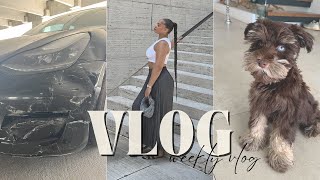 WEEKLY VLOG | Getting A Puppy, Car Accident, Scammer Story Time, etc