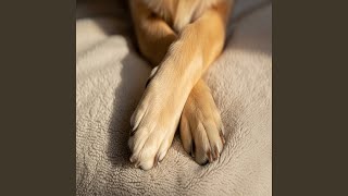 Gentle Tail Charm