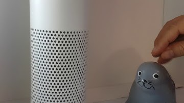 Alexa piggy bank #AmazonAlexaLifeHacksChallenge