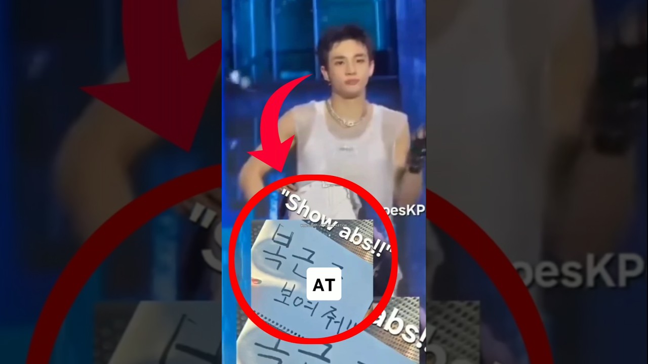 At a Stray Kids concert, a fan boldly held up a giant sign that said ‘SHOW ABS!!’ for Hyunjin. 