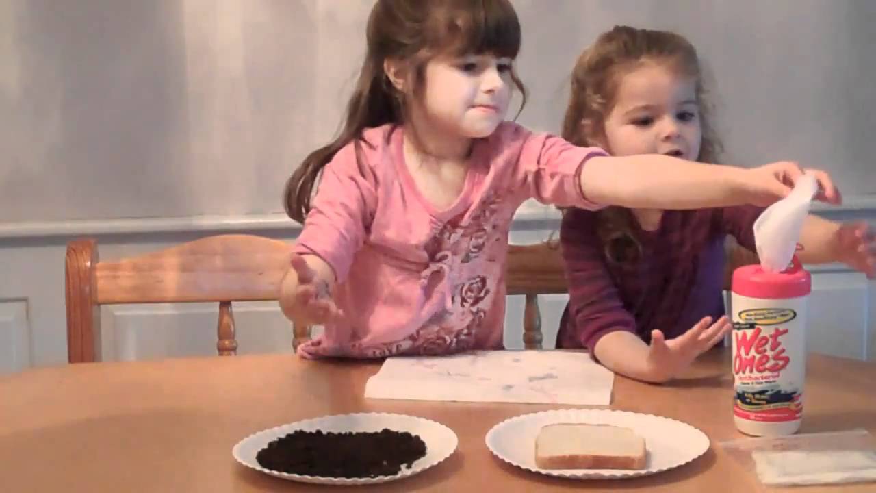 Germs Germs Everywhere YouTube