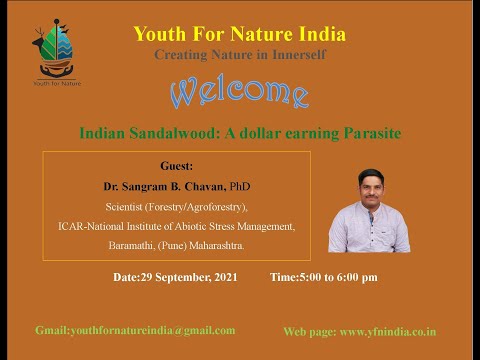 Indian Sandalwood: A Dollar Earning Parasite - Dr. Sangram Chavan, (Scientist) || Webinar | YFNINDIA