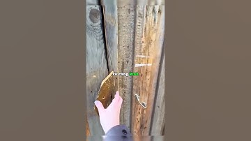 Cô gái phát hiện một bí mật bên trong nhà vệ sinh cũ kỹ 😲