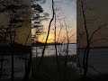 8 marca Dzień Kobiet- dziękuję, że Jesteś