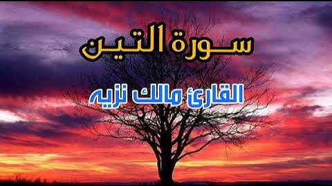 سورة التين || القارئ مالك نزيه || قرآن الفجر