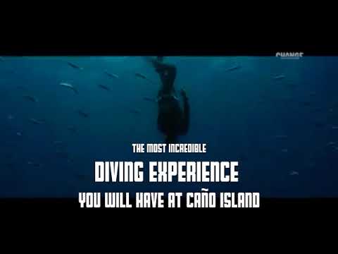 Caño Island Freediving Camp by Miguel Lozano & Costa Rica Adventure Divers