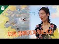 호주는 갈매기가 무서운 곳이다..