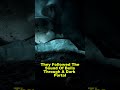 The Unsolved Case of the Green Children