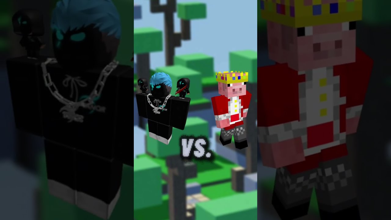 Technoblade vs TanqR 