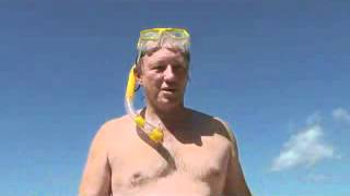 Al s Snorkel Report
