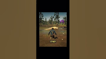 Never Remove The Water in Rdr2 #rdr2guide #rdr2secrets #rdr2tips #usa_tiktok #openworldgames #rdr2