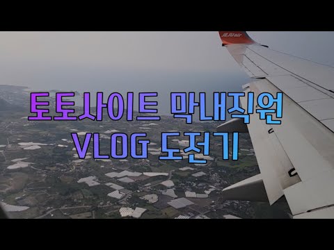 불법 토토사이트 막내직원 VLOG 도전기 