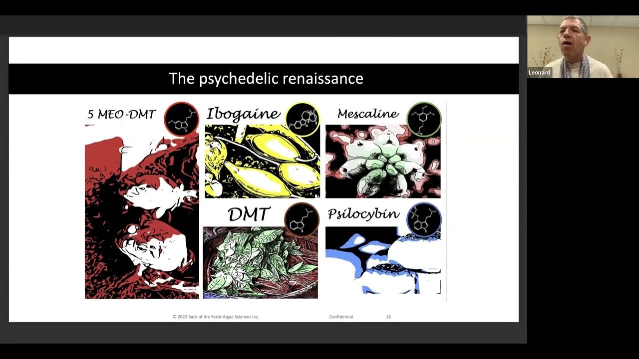 Leonard Lerer MD MBA Back of the Yards algae sciences (BYAS) CMS