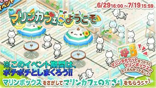 星の島のにゃんこ】次のイベントは、マリンカフェ！？建物がオシャレ
