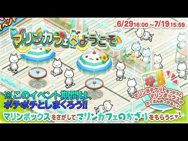 星の島のにゃんこ】次のイベントは、マリンカフェ！？建物がオシャレ