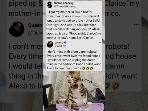 She Just Wanted To Watch TV Then This Happened