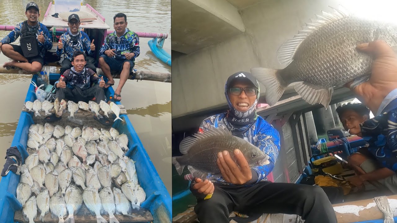 FULL BABON ‼️‼️‼️ DI LUAR EXPETASI MANCING DI BAWAH TIANG - TIANG PANCANG INI ‼️‼️‼️‼️