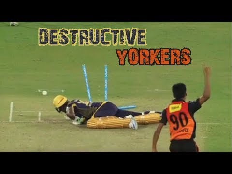 Top 10 best Yorkers in cricket history - YouTube